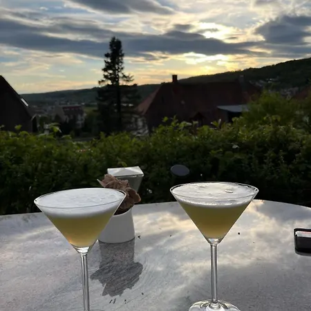 Adlerhorst4 * Waldshut-Tiengen