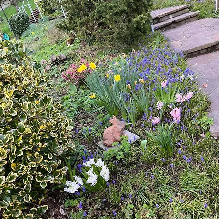 Prázdninový dům Emi4 Modern Near Swiss Border Free Parking