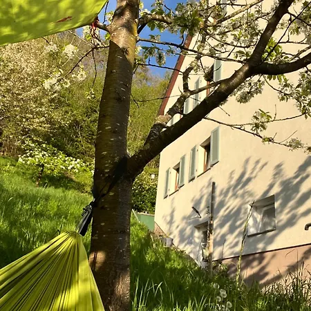 Prázdninový dům Emi4 Modern Near Swiss Border Free Parking