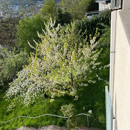 Adlerhorst4 Holiday home Waldshut-Tiengen