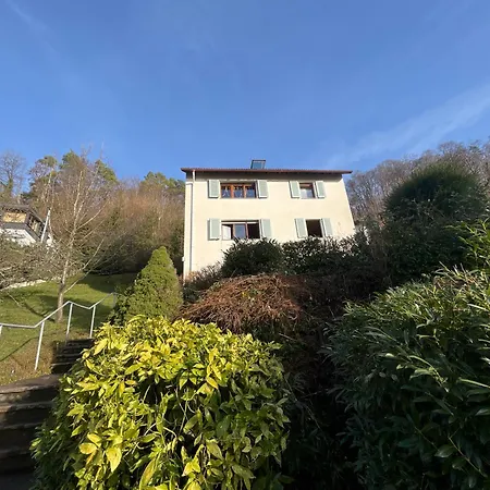 펜션 Emi4 Modern Near Swiss Border Free Parking 발드슈트티엔겐