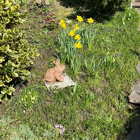 Emi4 Modern Near Swiss Border Free Parking Waldshut-Tiengen