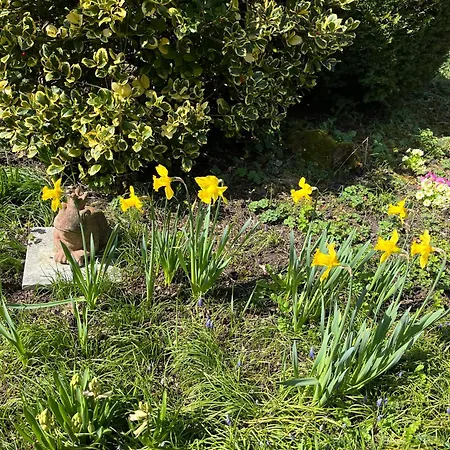 Emi4 Modern Near Swiss Border Free Parking * Waldshut-Tiengen