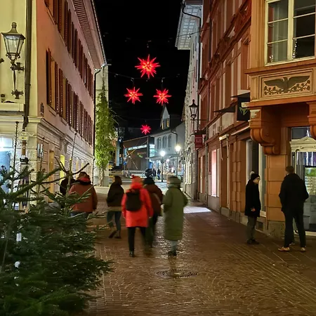 Prázdninový dům Emi4 Modern Near Swiss Border Free Parking *