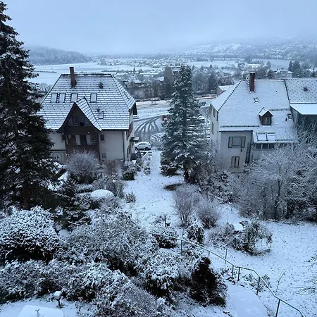 Emi4 Modern Near Swiss Border Free Parking Prázdninový dům *