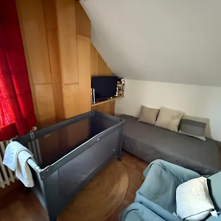 Adlerhorst4 Holiday home *