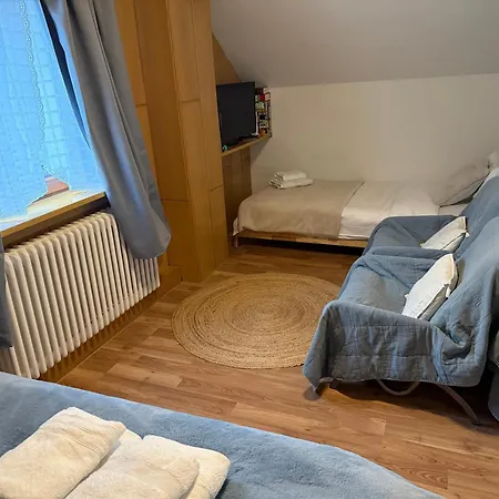 Adlerhorst4 Holiday home *
