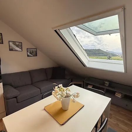 Emi4 Modern Near Swiss Border Free Parking 발드슈트티엔겐