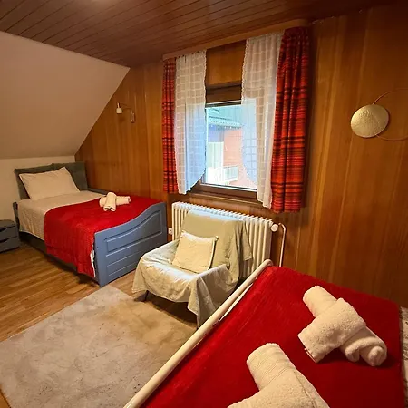 Emi4 Modern Near Swiss Border Free Parking * Waldshut-Tiengen