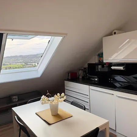 펜션 Emi4 Modern Near Swiss Border Free Parking 발드슈트티엔겐